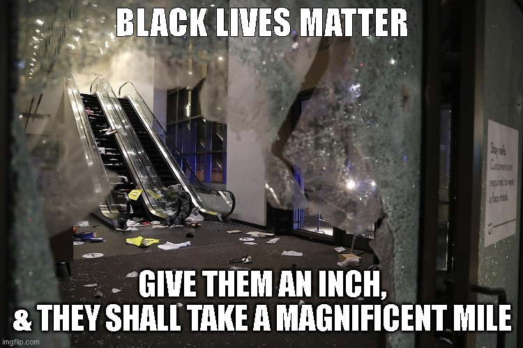 Black Looters Matter | BLACK LIVES MATTER; GIVE THEM AN INCH,
& THEY SHALL TAKE A MAGNIFICENT MILE | image tagged in blm | made w/ Imgflip meme maker