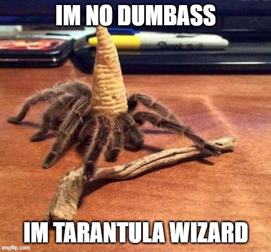 Yes. | IM NO DUMBASS; IM TARANTULA WIZARD | image tagged in tarantula gandalf,tuba boss theme | made w/ Imgflip meme maker