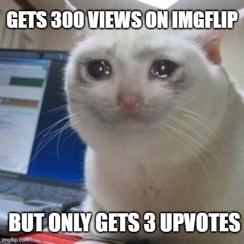 It's a sad day folks.. | GETS 300 VIEWS ON IMGFLIP; BUT ONLY GETS 3 UPVOTES | image tagged in crying cat,imgflip | made w/ Imgflip meme maker