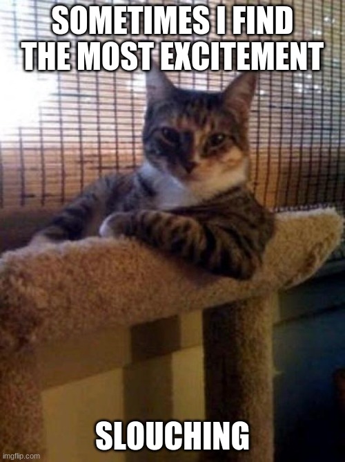 da cat | SOMETIMES I FIND THE MOST EXCITEMENT; SLOUCHING | image tagged in memes,the most interesting cat in the world | made w/ Imgflip meme maker