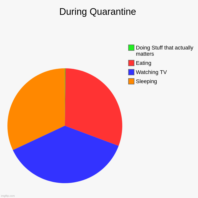 Lockdown is Awesome. | During Quarantine | Sleeping, Watching TV, Eating, Doing Stuff that actually matters | image tagged in charts,pie charts | made w/ Imgflip chart maker