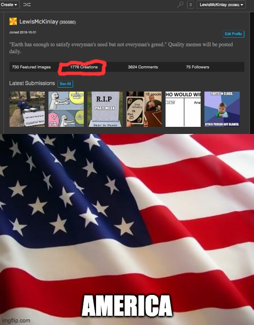 AMERICA | image tagged in american flag | made w/ Imgflip meme maker
