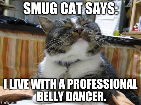 SMUG CAT SAYS: I LIVE WITH A PROFESSIONAL BELLY DANCER. | image tagged in smug cat | made w/ Imgflip meme maker