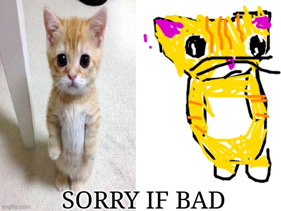 SORRY IF BAD | image tagged in cat | made w/ Imgflip meme maker