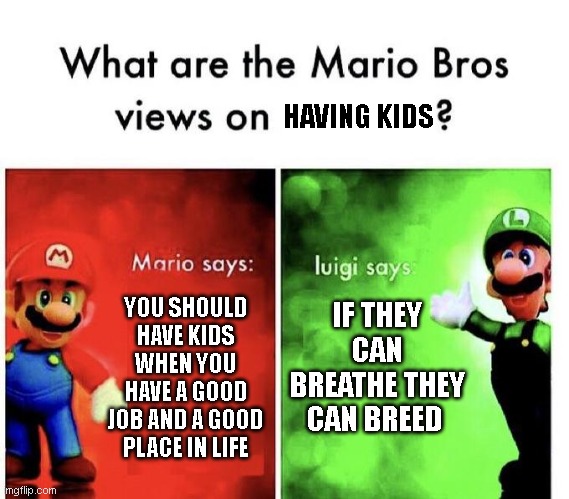 Mario Bros Views | HAVING KIDS; IF THEY CAN BREATHE THEY CAN BREED; YOU SHOULD HAVE KIDS WHEN YOU HAVE A GOOD JOB AND A GOOD PLACE IN LIFE | image tagged in mario bros views,memes,kids,luigi,mario,meme | made w/ Imgflip meme maker