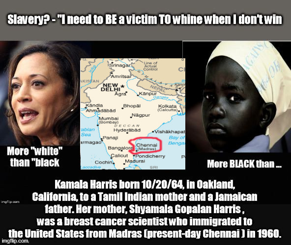 Harris/Biden 2020...not all things are black or white | image tagged in india,other color,color,race,blm | made w/ Imgflip meme maker
