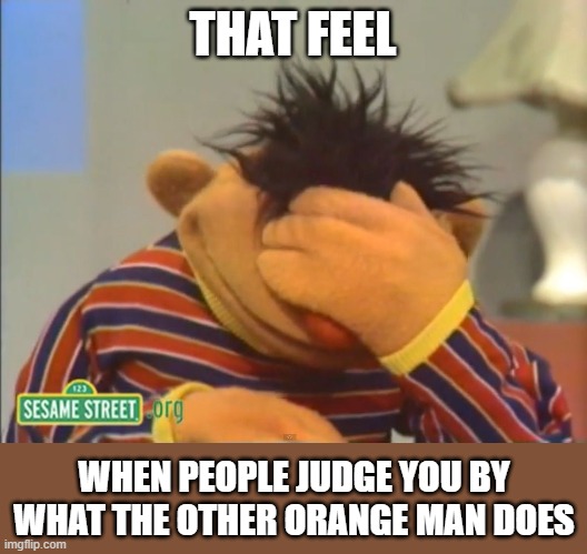 I swear I have nothing to do with him! | THAT FEEL; WHEN PEOPLE JUDGE YOU BY WHAT THE OTHER ORANGE MAN DOES | image tagged in face palm ernie,donald trump,orange man,migraine | made w/ Imgflip meme maker