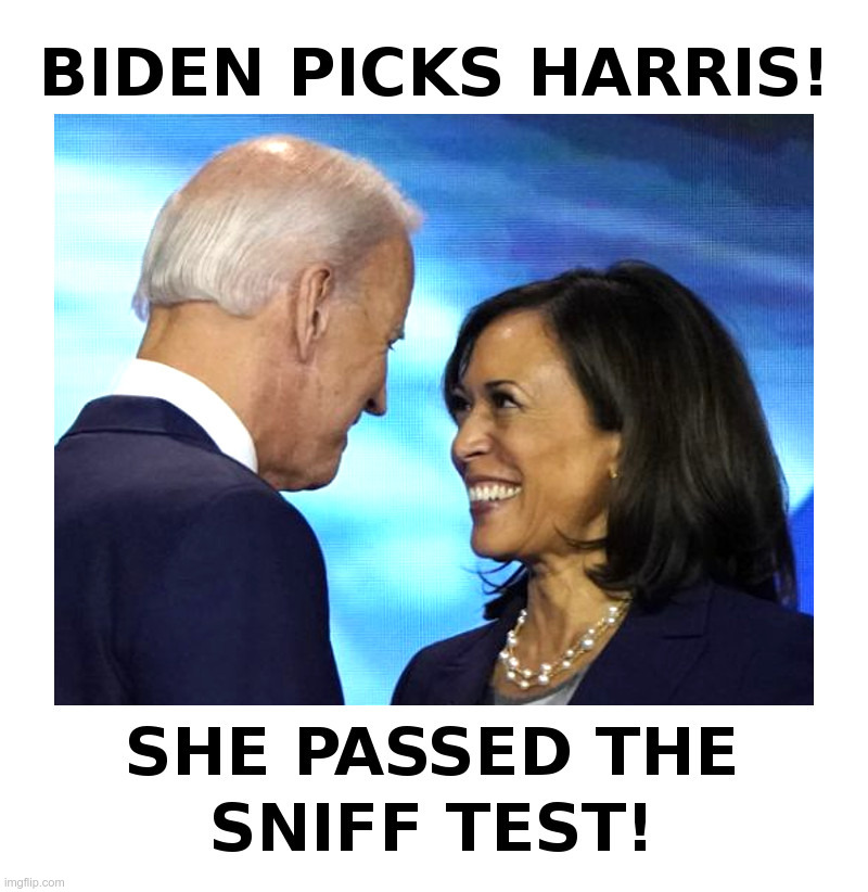 Biden Picks Harris! | image tagged in joe biden,kamala harris,she,smells,good | made w/ Imgflip meme maker