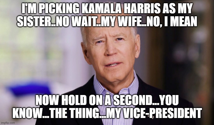 Joe Biden 2020 | I'M PICKING KAMALA HARRIS AS MY SISTER..NO WAIT..MY WIFE..NO, I MEAN; NOW HOLD ON A SECOND...YOU KNOW...THE THING...MY VICE-PRESIDENT | image tagged in joe biden 2020 | made w/ Imgflip meme maker