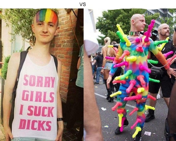 Gay VS Blank Meme Template