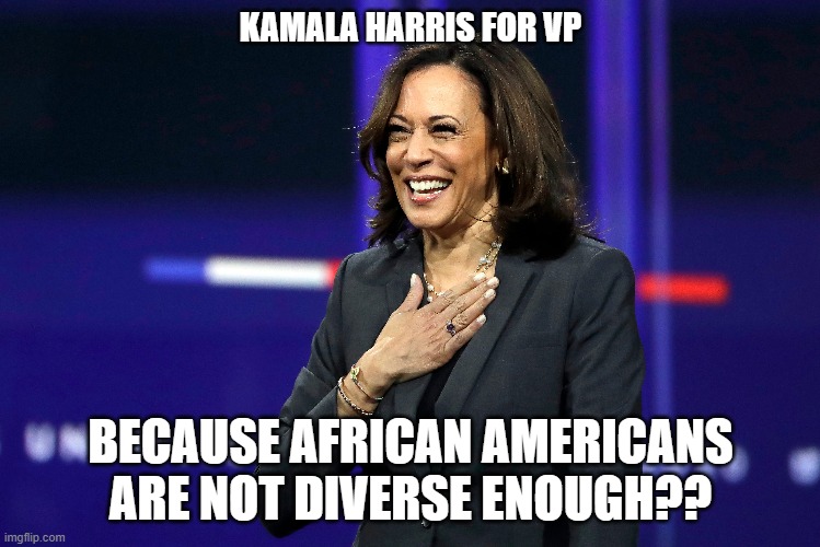 Kamala Harris For VP | KAMALA HARRIS FOR VP; BECAUSE AFRICAN AMERICANS ARE NOT DIVERSE ENOUGH?? | image tagged in kamala harris,joe biden | made w/ Imgflip meme maker