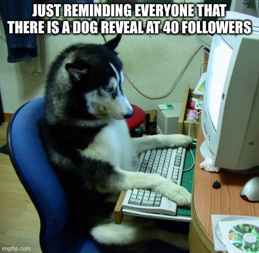 Just a reminder | JUST REMINDING EVERYONE THAT THERE IS A DOG REVEAL AT 40 FOLLOWERS | image tagged in memes,i have no idea what i am doing | made w/ Imgflip meme maker