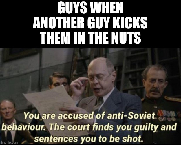 You are accused of anti-soviet behavior | GUYS WHEN ANOTHER GUY KICKS THEM IN THE NUTS | image tagged in you are accused of anti-soviet behavior | made w/ Imgflip meme maker