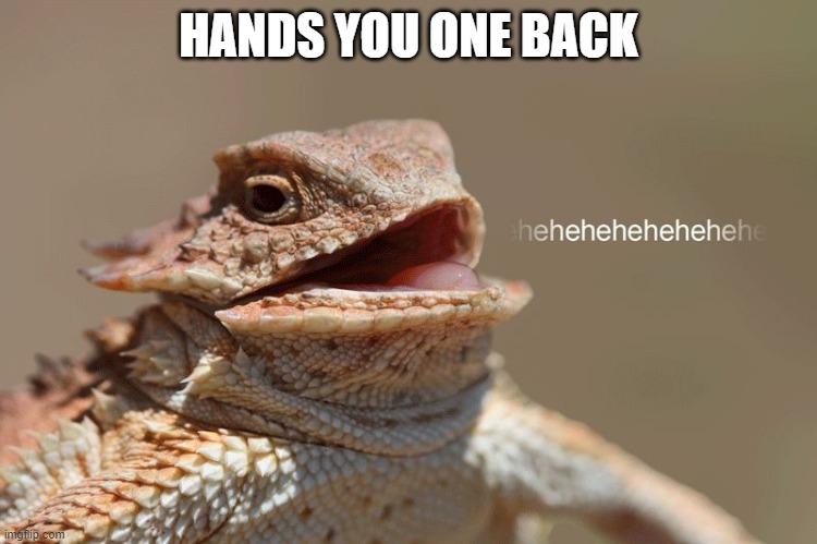 laughing lizard | HANDS YOU ONE BACK | image tagged in laughing lizard | made w/ Imgflip meme maker