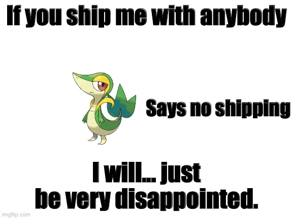 NO SHIPPING | If you ship me with anybody; Says no shipping; I will... just be very disappointed. | image tagged in blank white template | made w/ Imgflip meme maker