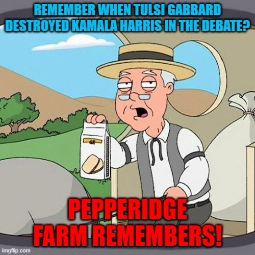 Pepperidge Farm Remembers | REMEMBER WHEN TULSI GABBARD DESTROYED KAMALA HARRIS IN THE DEBATE? PEPPERIDGE FARM REMEMBERS! | image tagged in memes,pepperidge farm remembers | made w/ Imgflip meme maker