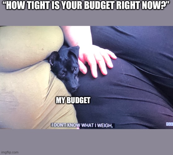 My600lblife | “HOW TIGHT IS YOUR BUDGET RIGHT NOW?”; MY BUDGET | image tagged in dog | made w/ Imgflip meme maker