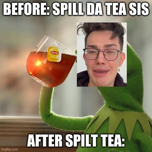 James Charles dont like the tea being spilt | BEFORE: SPILL DA TEA SIS; AFTER SPILT TEA: | image tagged in memes,but that's none of my business,kermit the frog | made w/ Imgflip meme maker