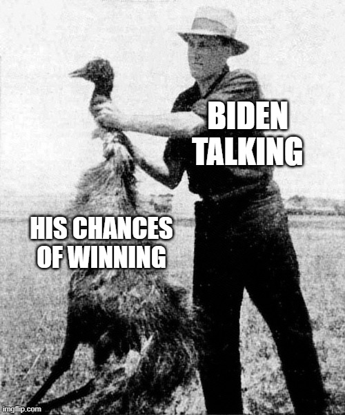 Every time he opens his mouth he torpedoes his campaign | BIDEN TALKING; HIS CHANCES OF WINNING | image tagged in great emu war,memes,joe biden,creepy joe biden,politics,trump 2020 | made w/ Imgflip meme maker