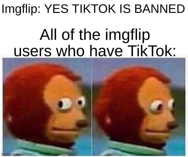 They are out there... | Imgflip: YES TIKTOK IS BANNED; All of the imgflip users who have TikTok: | image tagged in memes,monkey puppet,tiktok banned,imgflip | made w/ Imgflip meme maker