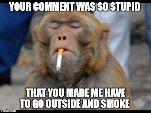 YOUR COMMENT WAS SO STUPID; THAT YOU MADE ME HAVE TO GO OUTSIDE AND SMOKE | image tagged in monkey,stupid,funny,dumb | made w/ Imgflip meme maker