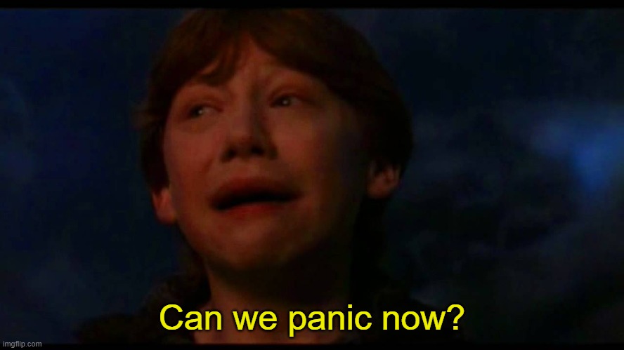 Ron weasley panic now | Can we panic now? | image tagged in ron weasley panic now | made w/ Imgflip meme maker
