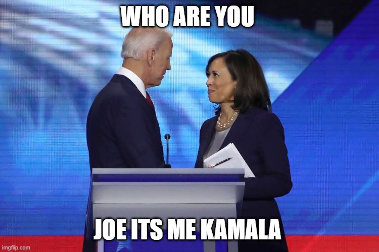 Biden | WHO ARE YOU; JOE ITS ME KAMALA | image tagged in what year is it | made w/ Imgflip meme maker