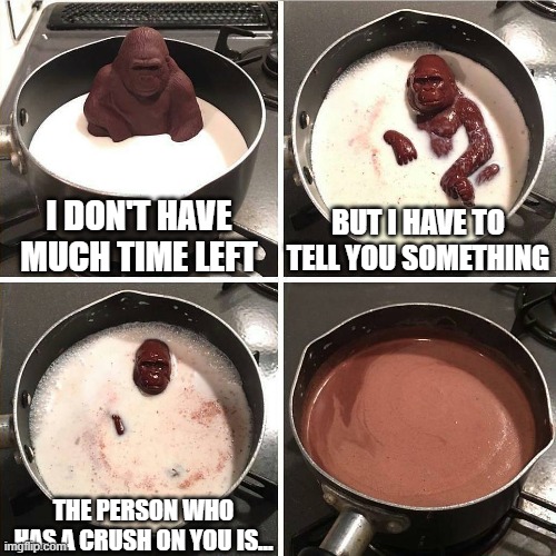 chocolate gorilla | I DON'T HAVE MUCH TIME LEFT; BUT I HAVE TO TELL YOU SOMETHING; THE PERSON WHO HAS A CRUSH ON YOU IS... | image tagged in chocolate gorilla | made w/ Imgflip meme maker