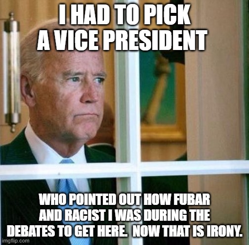 Yay.  He picked a pickle from the bottom of the barrel. | I HAD TO PICK A VICE PRESIDENT; WHO POINTED OUT HOW FUBAR AND RACIST I WAS DURING THE DEBATES TO GET HERE.  NOW THAT IS IRONY. | image tagged in sad joe biden | made w/ Imgflip meme maker