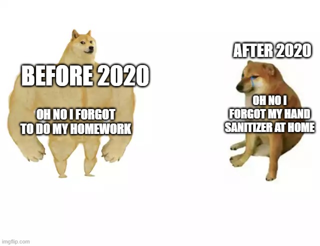 Buff Doge vs. Cheems Meme | AFTER 2020; BEFORE 2020; OH NO I FORGOT TO DO MY HOMEWORK; OH NO I FORGOT MY HAND SANITIZER AT HOME | image tagged in buff doge vs cheems | made w/ Imgflip meme maker