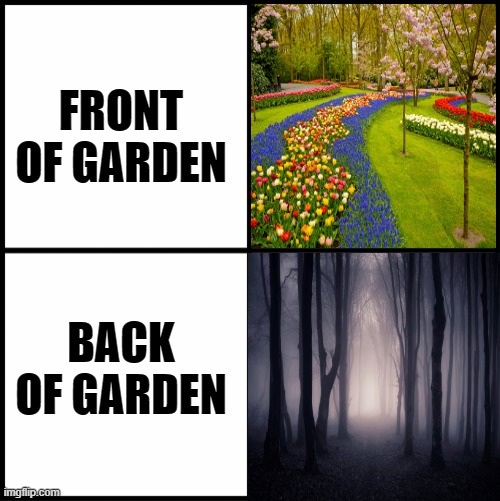 front vs back | FRONT OF GARDEN; BACK OF GARDEN | image tagged in garden,relatable,good memes,funny memes,lol | made w/ Imgflip meme maker