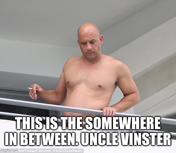 Fat Vin Diesel | THIS IS THE SOMEWHERE IN BETWEEN. UNCLE VINSTER | image tagged in fat vin diesel | made w/ Imgflip meme maker