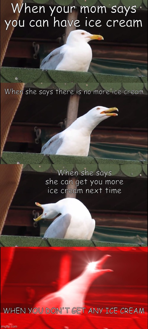 WHY IS THIS SO RELATABLE?!?!?!?! | When your mom says you can have ice cream; When she says there is no more ice cream; When she says she can get you more ice cream next time; WHEN YOU DON'T GET ANY ICE CREAM | image tagged in memes,inhaling seagull | made w/ Imgflip meme maker