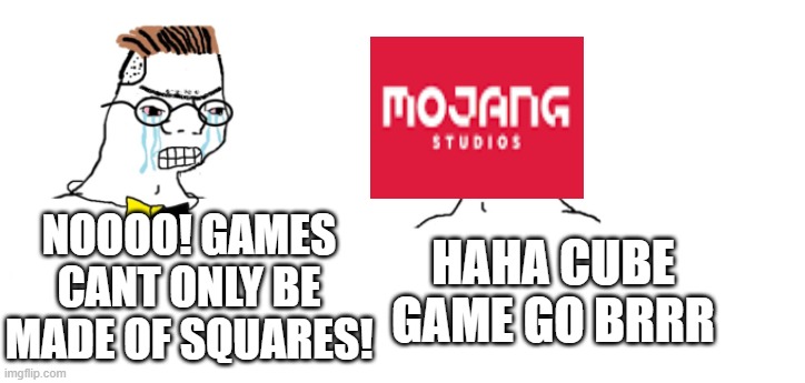 cub gam go brrr | NOOOO! GAMES CANT ONLY BE MADE OF SQUARES! HAHA CUBE GAME GO BRRR | image tagged in nooo haha go brrr,minecraft | made w/ Imgflip meme maker