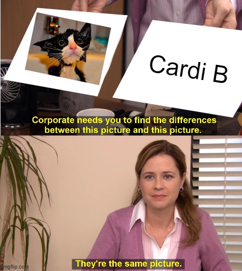 They're The Same Picture Meme | Cardi B | image tagged in memes,they're the same picture | made w/ Imgflip meme maker