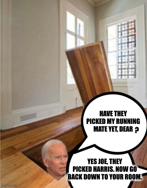 Joe Biden | ? | image tagged in joe biden,kamala harris,election 2020 | made w/ Imgflip meme maker