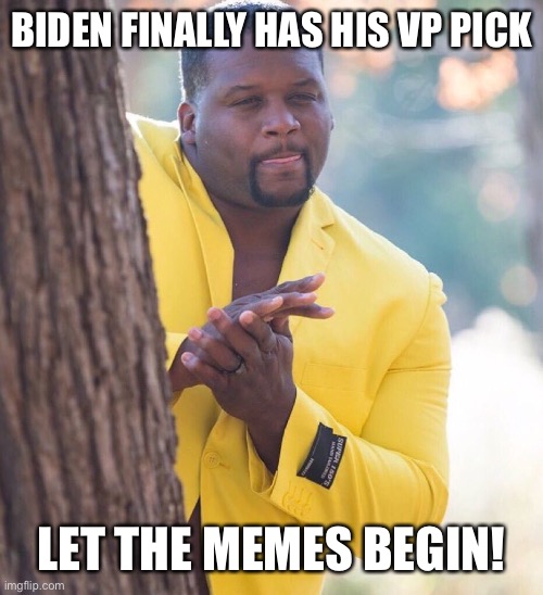 Oh Biden | BIDEN FINALLY HAS HIS VP PICK; LET THE MEMES BEGIN! | image tagged in black guy hiding behind tree,biden,funny,memes | made w/ Imgflip meme maker