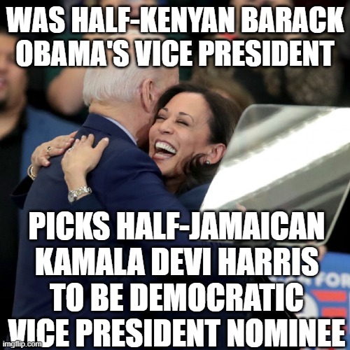 Was half-Kenyan Barack Obama's vice president; Picks half-Jamaican Kamala Devi Harris to be Democratic vice president nominee | WAS HALF-KENYAN BARACK OBAMA'S VICE PRESIDENT; PICKS HALF-JAMAICAN KAMALA DEVI HARRIS TO BE DEMOCRATIC VICE PRESIDENT NOMINEE | image tagged in joe biden kamala harris | made w/ Imgflip meme maker