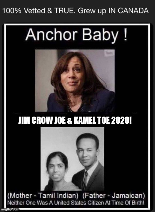 Kamala Harris | JIM CROW JOE & KAMEL TOE 2020! | image tagged in kamala harris | made w/ Imgflip meme maker