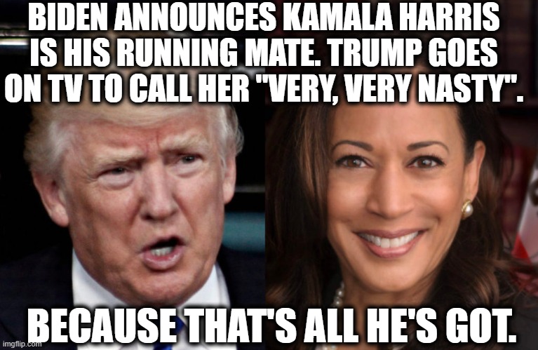 All he's got. | BIDEN ANNOUNCES KAMALA HARRIS IS HIS RUNNING MATE. TRUMP GOES ON TV TO CALL HER "VERY, VERY NASTY". BECAUSE THAT'S ALL HE'S GOT. | image tagged in donald trump,kamala harris,joe biden,election 2020,vice president,nasty | made w/ Imgflip meme maker