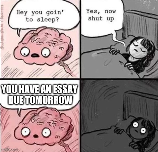 waking up brain | YOU HAVE AN ESSAY 
DUE TOMORROW | image tagged in waking up brain | made w/ Imgflip meme maker