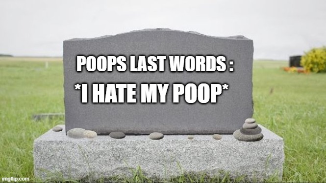 oh poop | POOPS LAST WORDS :; *I HATE MY POOP* | image tagged in blank burial stone,poop,buried | made w/ Imgflip meme maker