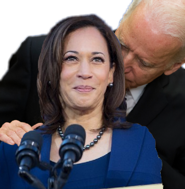 High Quality Joe Biden and Kamala Hairs Blank Meme Template