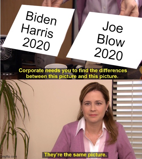 Biden announces his running mate. | Biden
Harris 
2020; Joe
Blow
2020 | image tagged in memes,they're the same picture | made w/ Imgflip meme maker