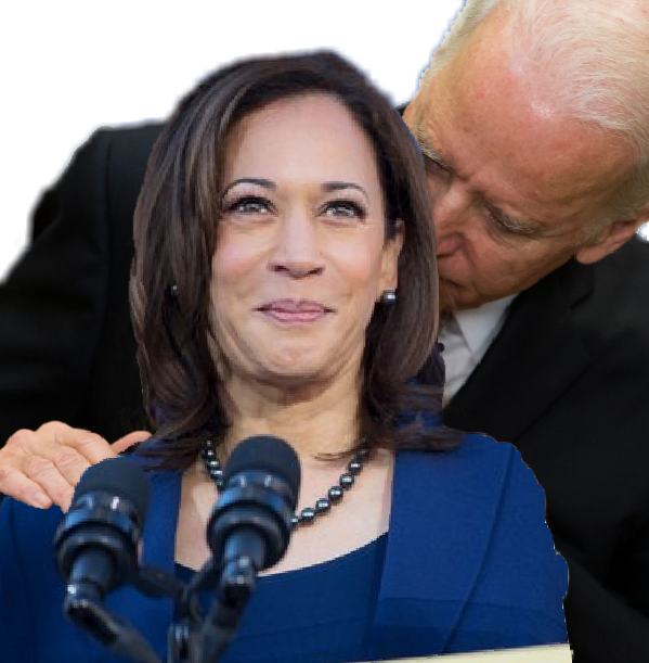 High Quality KAMALA HARRIS GETS SMELT BY CREEPY JOE Blank Meme Template