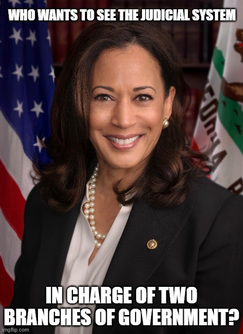 WHO WANTS TO SEE THE JUDICIAL SYSTEM; IN CHARGE OF TWO BRANCHES OF GOVERNMENT? | image tagged in election 2020,kamala harris,joe biden,democrat,democrats,liberals | made w/ Imgflip meme maker