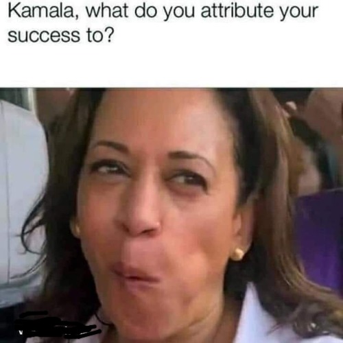This about sums it up. | image tagged in kamala harris,joe biden,2020 | made w/ Imgflip meme maker