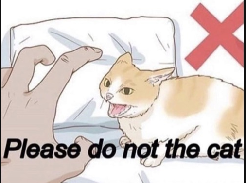 Please do not the cat Blank Meme Template