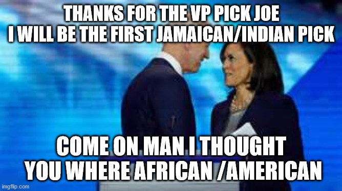 politics | THANKS FOR THE VP PICK JOE
I WILL BE THE FIRST JAMAICAN/INDIAN PICK; COME ON MAN I THOUGHT
 YOU WHERE AFRICAN /AMERICAN | image tagged in political memes | made w/ Imgflip meme maker