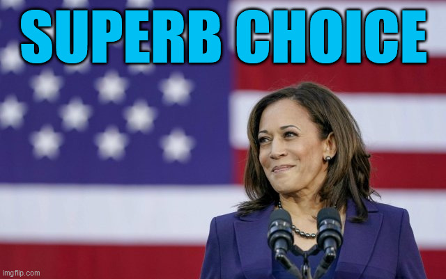 She will ensure that the most corrupt, ignorant jerk, to EVER occupy the White House WILL BE TOSSED TO THE CURB! Dump Trump! | SUPERB CHOICE | image tagged in kamala harris,2020 elections,dump trump,winner,hope and change,political meme | made w/ Imgflip meme maker